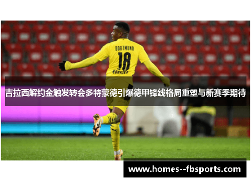 吉拉西解约金触发转会多特蒙德引爆德甲锋线格局重塑与新赛季期待