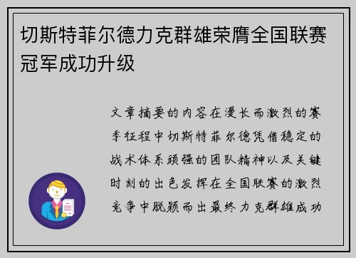 切斯特菲尔德力克群雄荣膺全国联赛冠军成功升级 切斯特菲尔德力克群雄荣膺全国联赛冠军成功升级